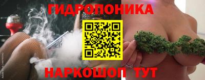 мдпв Кандалакша