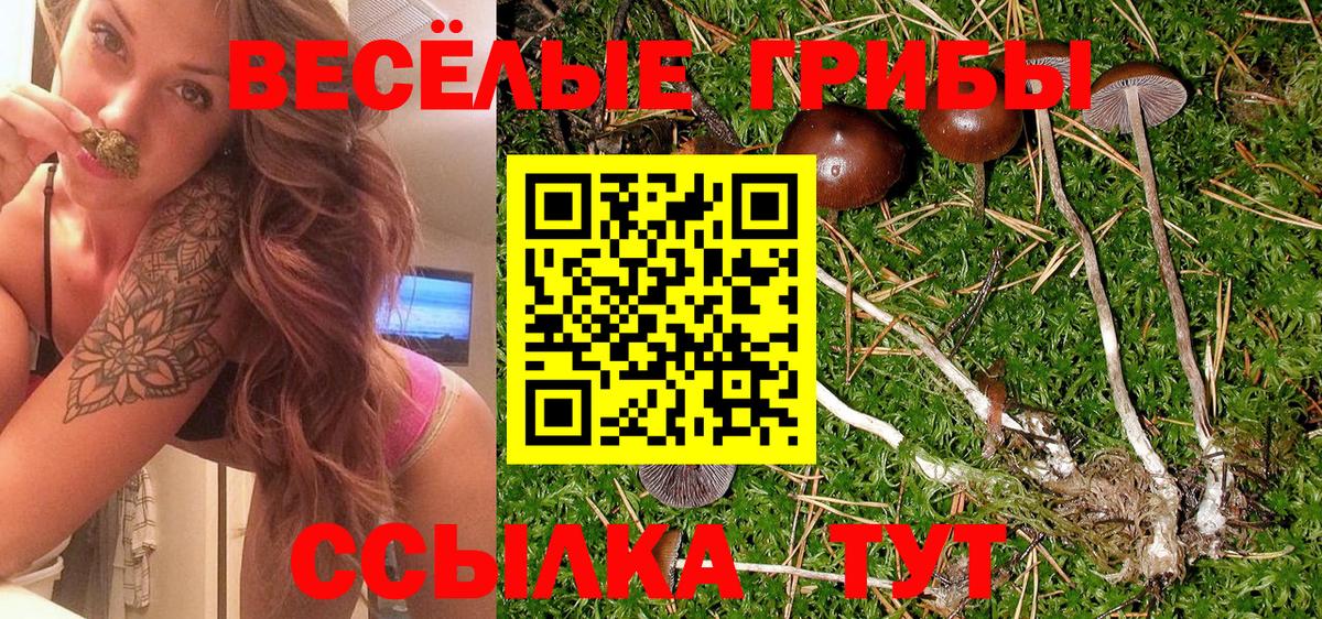 Галлюциногенные грибы GOLDEN TEACHER Краснодар