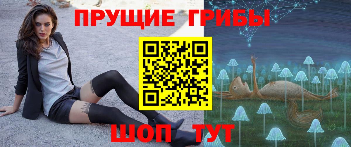 Галлюциногенные грибы мицелий  Галлюциногенные грибы Psilocybine cubensis  Краснодар  Вход с VPN 